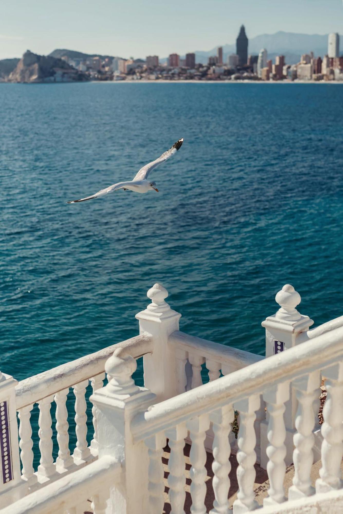 Hotel Primavera Benidorm Zewnętrze zdjęcie